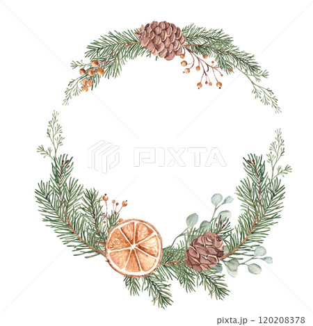 Christmas Wreath. Circle Frame with Winter plants and dry orange slices. Hand drawn Botanical Illustration of Fir Branches, Eucalyptus, Pine Cones and Berries isolated on white background. For Christmas Wreath. Circle Frame with Winter plants and dry orange slices. Hand drawn Botanical Illustration of Fir Branches, Eucalyptus, Pine Cones and Berries isolated on white background. For 120208378