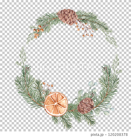Christmas Wreath. Circle Frame with Winter plants and dry orange slices. Hand drawn Botanical Illustration of Fir Branches, Eucalyptus, Pine Cones and Berries isolated on white background. For Christmas Wreath. Circle Frame with Winter plants and dry orange slices. Hand drawn Botanical Illustration of Fir Branches, Eucalyptus, Pine Cones and Berries isolated on white background. For 120208378