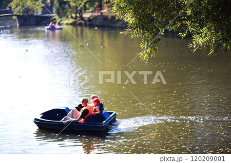 Beautiful autumn park. Russian North. Autumn trees and leaves. Autumn Landscape.Park in Autumn. Forest in Autumn. Beautiful autumn park. Russian North. Autumn trees and leaves. Autumn Landscape.Park in Autumn. Forest in Autumn. 120209001