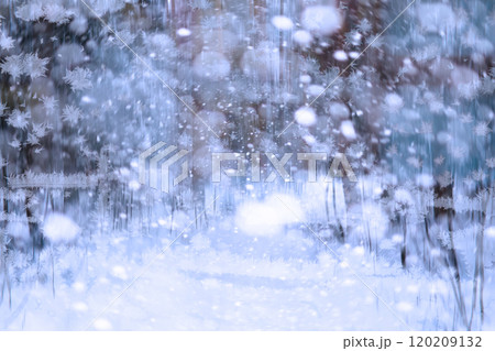 Winter landscape through a frozen window. Blurred snow background. Trees and plants covered with snow. Winter landscape through a frozen window. Blurred snow background. Trees and plants covered with snow. 120209132