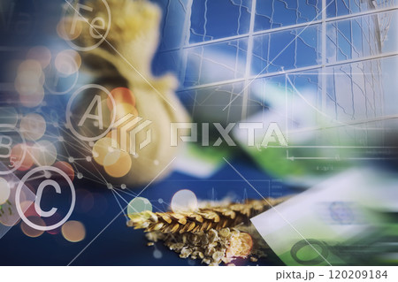 World grain crisis. Double exposure. A handful of cereals and euro banknotes on a blue background. 120209184