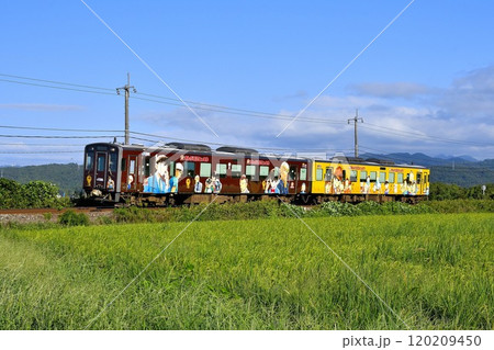 青空の下走るローカル線名探偵コナンラッピング① 120209450