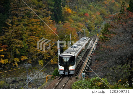 渚付近の紅葉の中を走るHC85気動車特急ひだ① 120209721