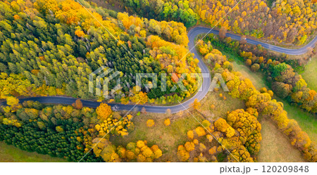 A winding road meanders through a colorful landscape adorned with vibrant autumn foliage, showcasing shades of yellow, orange, and red as leaves transition with the season. 120209848