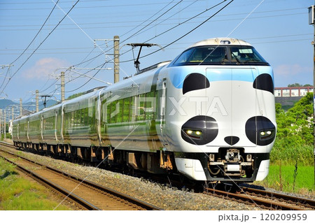 パンダラッピング、夏の紀勢本線を行く287系特急くろしお② 120209959