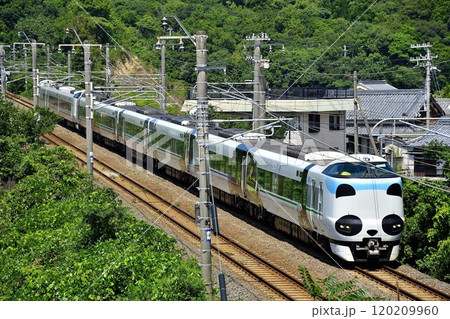 パンダラッピング、夏の紀勢本線を行く287系特急くろしお③ 120209960