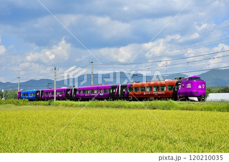 京都パープルサンガラッピング、田園地帯を行く287系特急列車 京都パープルサンガラッピング、田園地帯を行く287系特急列車 120210035