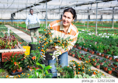 Portrait of asian positive woman in nightshade plants 120210286