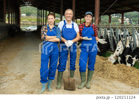 Women and senior man employees of livestock farm stands under shed in cowshed Women and senior man employees of livestock farm stands under shed in cowshed 120211124