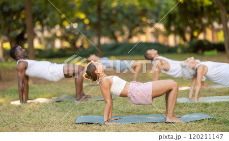 Multinational yoga enthusiasts with female coach perform katuspadapidham in park 120211147