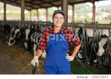 Young woman working with cows on farm Young woman working with cows on farm 120211657
