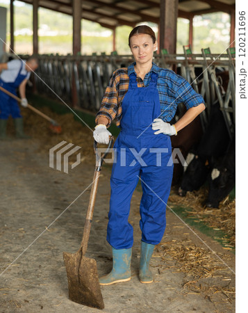 Portrait of woman working on livestock farm posing in cowshed near stall with herd of cows Portrait of woman working on livestock farm posing in cowshed near stall with herd of cows 120211696