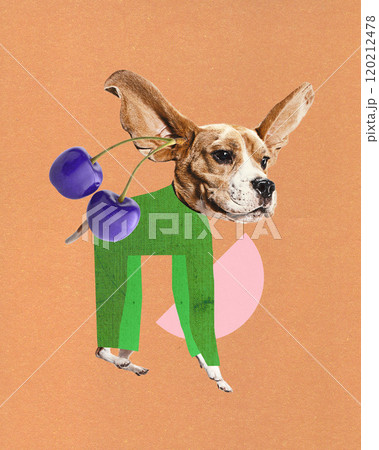 Contemporary art collage. Dog with large ears, dressed in green pants, holding two cherries, on peach-colored background with pink circle. Contemporary art collage. Dog with large ears, dressed in green pants, holding two cherries, on peach-colored background with pink circle. 120212478