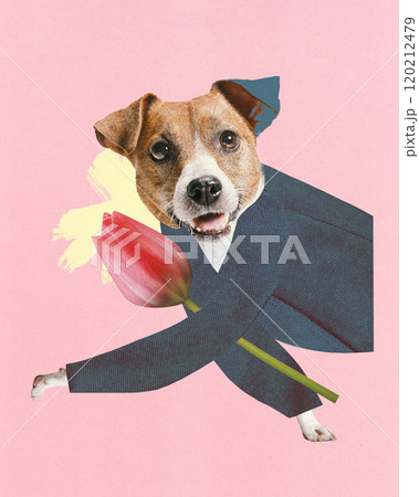 Contemporary art collage. Brown dog in suit holding red tulip against pink background with yellow brushstroke. Contemporary art collage. Brown dog in suit holding red tulip against pink background with yellow brushstroke. 120212479