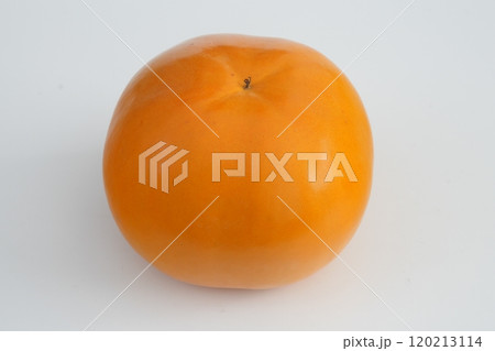 カキ 紀州てまり柿 和歌山県産 120213114