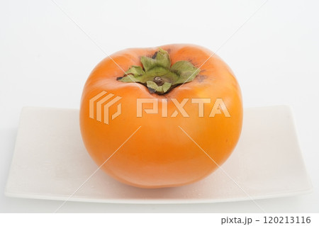 カキ 紀州てまり柿 和歌山県産 120213116