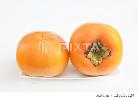 カキ 紀州てまり柿 和歌山県産 120213124