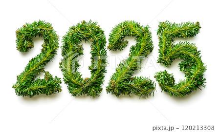 Year 2025 is artistically represented using green pine branches arranged to form each number, creating festive, nature-inspired design on white background. New Year and holiday eco-friendly designs 120213308