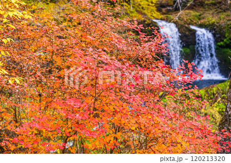 【山梨県富士吉田市】紅葉に包まれた鐘山の滝(かねやまのたき) 【山梨県富士吉田市】紅葉に包まれた鐘山の滝(かねやまのたき) 120213320