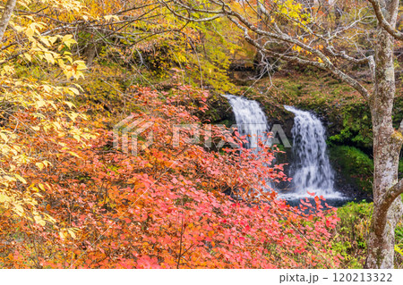 【山梨県富士吉田市】紅葉に包まれた鐘山の滝(かねやまのたき) 【山梨県富士吉田市】紅葉に包まれた鐘山の滝(かねやまのたき) 120213322