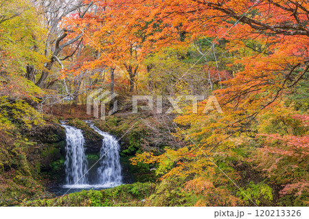 【山梨県富士吉田市】紅葉に包まれた鐘山の滝（かねやまのたき） 120213326