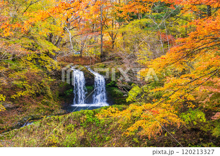 【山梨県富士吉田市】紅葉に包まれた鐘山の滝(かねやまのたき) 【山梨県富士吉田市】紅葉に包まれた鐘山の滝(かねやまのたき) 120213327