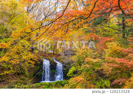 【山梨県富士吉田市】紅葉に包まれた鐘山の滝(かねやまのたき) 【山梨県富士吉田市】紅葉に包まれた鐘山の滝(かねやまのたき) 120213328