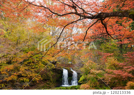 【山梨県富士吉田市】紅葉に包まれた鐘山の滝（かねやまのたき） 120213336