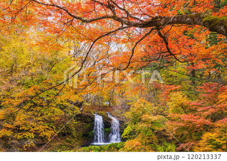 【山梨県富士吉田市】紅葉に包まれた鐘山の滝(かねやまのたき) 【山梨県富士吉田市】紅葉に包まれた鐘山の滝(かねやまのたき) 120213337
