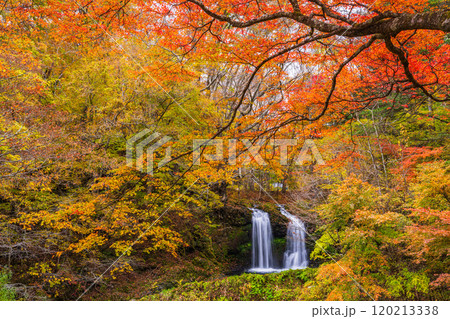 【山梨県富士吉田市】紅葉に包まれた鐘山の滝（かねやまのたき） 120213338