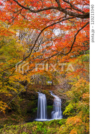 【山梨県富士吉田市】紅葉に包まれた鐘山の滝（かねやまのたき） 120213340