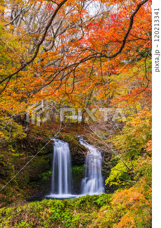 【山梨県富士吉田市】紅葉に包まれた鐘山の滝(かねやまのたき) 【山梨県富士吉田市】紅葉に包まれた鐘山の滝(かねやまのたき) 120213341
