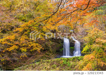【山梨県富士吉田市】紅葉に包まれた鐘山の滝(かねやまのたき) 【山梨県富士吉田市】紅葉に包まれた鐘山の滝(かねやまのたき) 120213343