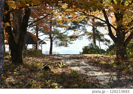 落ち葉の絨毯と屋根付きの休憩所 落ち葉の絨毯と屋根付きの休憩所 120213685