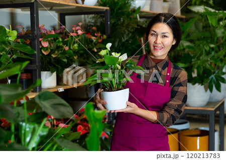 Portrait of flower shop employee with potted plants in her hands Portrait of flower shop employee with potted plants in her hands 120213783