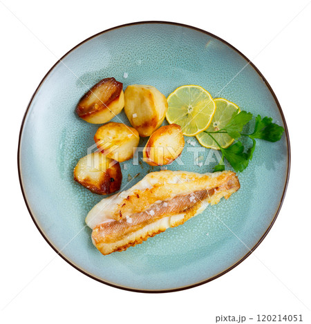 Fried Gallineta fish fillet with potatoes and parsley closeup 120214051