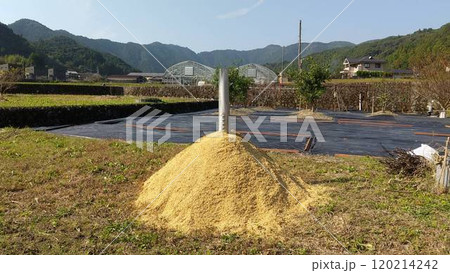 燻炭を畑で作る 120214242