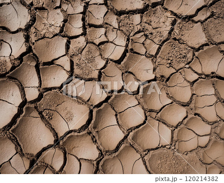 乾いた泥のテクスチャー 乾いた泥のテクスチャー 120214382