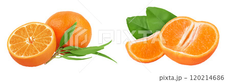 Tangerine or clementine with green leaf isolated on white background with full depth of field. Tangerine or clementine with green leaf isolated on white background with full depth of field. 120214686
