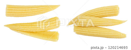 Pickled young baby corn cobs isolated on white background Top view. Flat lay Pickled young baby corn cobs isolated on white background Top view. Flat lay 120214693