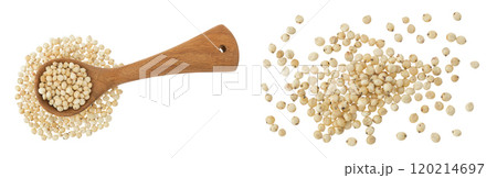 Sorghum seeds in wooden spoon isolated on white background. Top view. Flat lay. 120214697