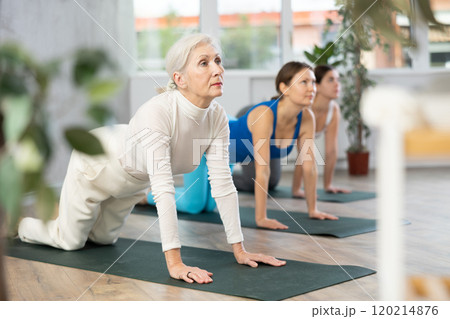 Elderly woman practicing yoga poses with other women in yoga studio 120214876