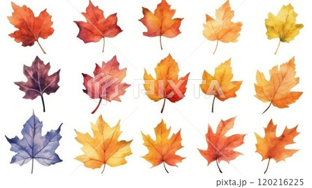 A collection of colorful watercolor autumn leaves, beautifully isolated on a white background, ideal for fall-themed projects, seasonal decorations, or nature art inspirations 120216225