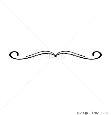 Hand drawn divider icon vector illustration design element of swish, swash, swoosh underline swirl squiggle stroke line Hand drawn divider icon vector illustration design element of swish, swash, swoosh underline swirl squiggle stroke line 120216290