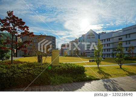 風のホワイエ　ライトキューブ宇都宮 120216640