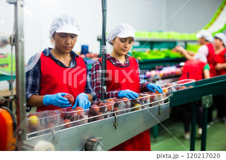 Woman working on producing sorting line at warehouse 120217020