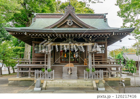沼津　八幡神社（市場八幡神社　天狗の相撲）拝殿　静岡県沼津市市場町 120217416