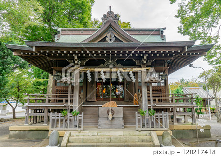 沼津　八幡神社（市場八幡神社　天狗の相撲）拝殿　静岡県沼津市市場町 120217418