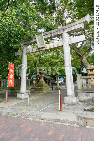 沼津　八幡神社（市場八幡神社　天狗の相撲）鳥居　静岡県沼津市市場町 120217419