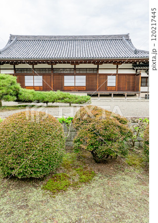 乗運寺(千本松原の原点 若山牧水の墓所)本堂と庭園 静岡県沼津市本出口町 乗運寺(千本松原の原点 若山牧水の墓所)本堂と庭園 静岡県沼津市本出口町 120217445
